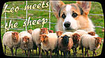 Click image for larger version

Name:	1sheep.jpg
Views:	1565
Size:	59.8 KB
ID:	4909
