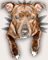 Graeme's Avatar