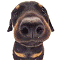 Zeus's Avatar