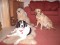 Carolee's Avatar