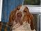 Pootle's Avatar