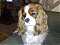 Maisysmum's Avatar