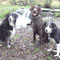 Leanne_W's Avatar