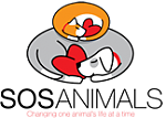SOS Animals UK's Profile Picture