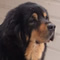 DoKhyi's Avatar