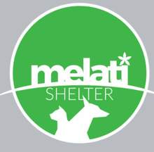 MelatiShelterID's Profile Picture