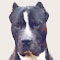 Topdog's Profile