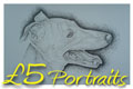�5 Pet Portraits