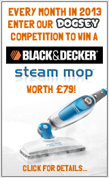 Win a Black & Decker Steam Mop!
