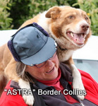 Astrasheepdogs's Profile Picture