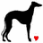 -GreyhoundGirl-'s Profile