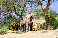 isaac cowboy TPR Dog Training LA