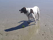 Justin at the beach