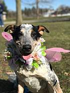 Hazel had the best costume at the 2017 Eater costume contest.