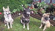 Zenith, 4 months old with Mum and Nana