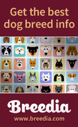 Breedia - The Dog Breed Website