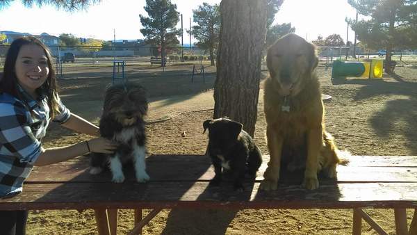 Maxie and Jase at the dog park with my best friend Maddie and her dog Topper