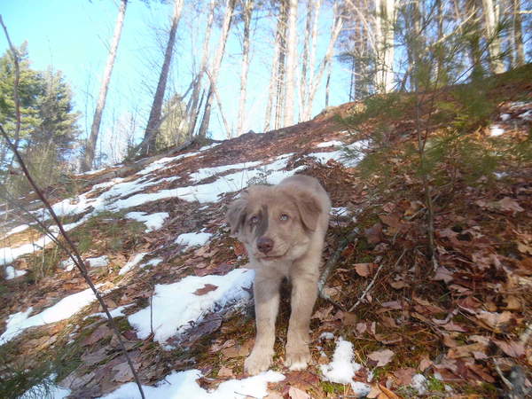 Having fun on a hill